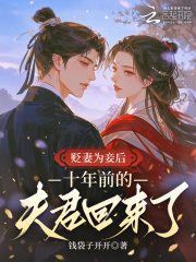 贬妻为妾后，十年前的夫君回来了